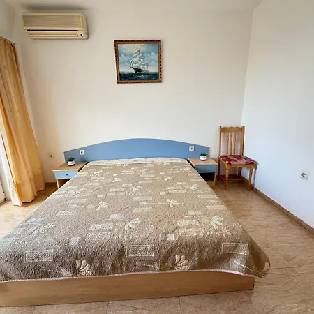Daisy 4* Szveti Vlasz